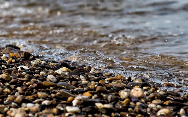 Су – көрші елдердің бірлігі мен түсіністігін орнықтыру кепілі.