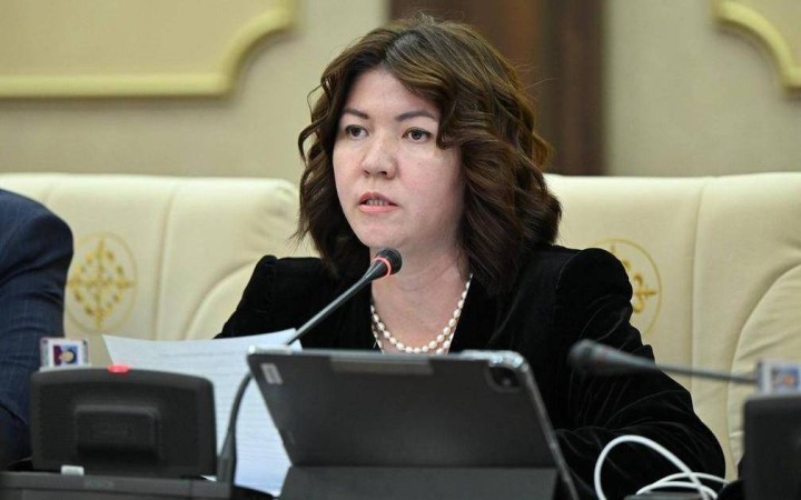 Заң талабына сай келмейтін жекеменшік мектептер жабылады – Жұлдыз Сүлейменова