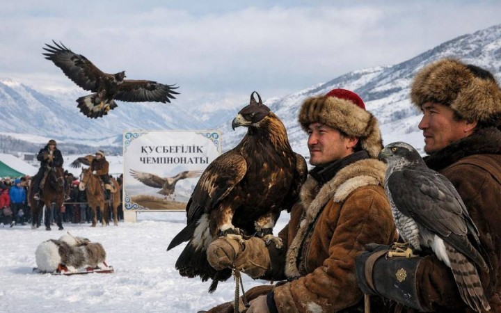 ШҚО-да құсбегіліктен чемпионат өтіп жатыр