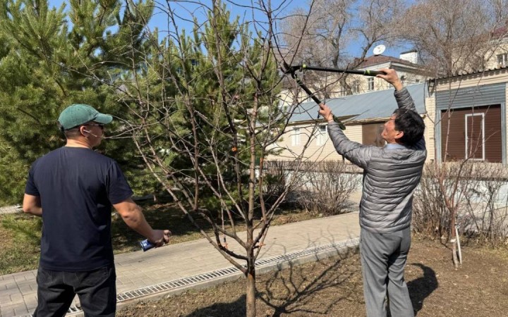 «Өзіңнен баста!»: Астанада мәдениет саласының өкілдері тазалық челленджіне қатысты