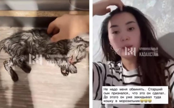 Мысықты кір жуғыш машинаға салып өлтірген. Анасы өз ұлын айыптады