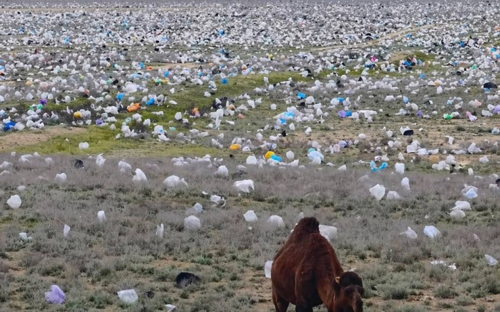 “Таза Қазақстан”: Қилыбай Тоқаевтың тапсырмасын орындай алмай отыр ма?