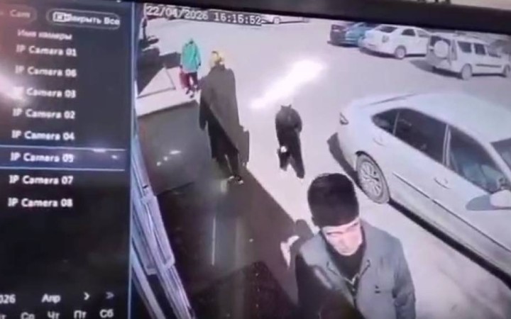 Ақтөбеде өзгенің баласын алып кетпек болған қыз ұсталды