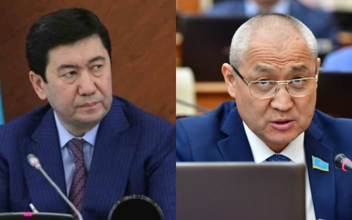 "Итке өкпелеп, Жаңбыршин де біраз жерге барды": Жануарларға қатысты заңға нүкте қойылды