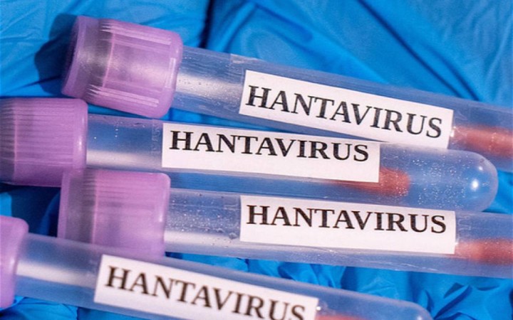 Францияда хантавирустың алғашқы жағдайы тіркелді