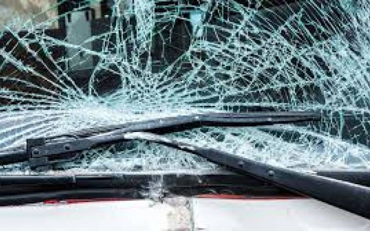 Тойға бара жатқан отбасы мүшелерінің бәрі тіл тартпай кетті
