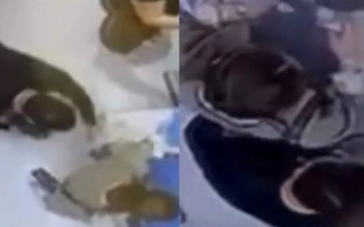 «Етегінің астынан видеоға түсірген»: Астанадағы оқиға жұртты шошытты
