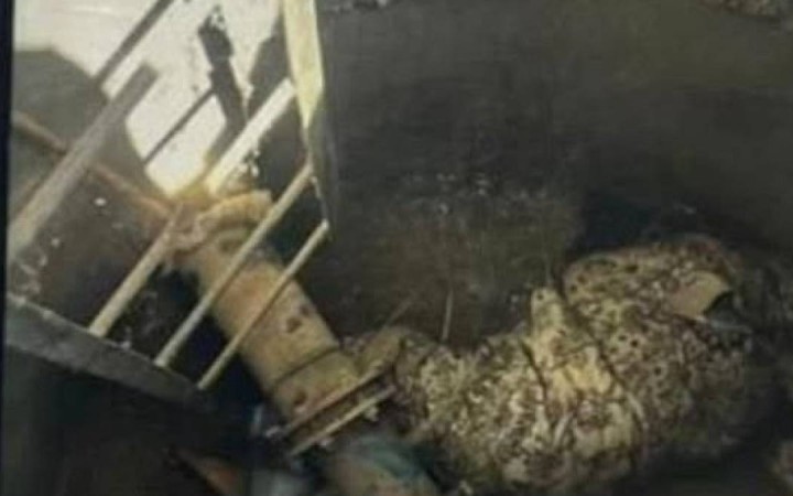 15 жастағы жігіт ағасын айуандықпен өлтіріп, құдыққа тастаған