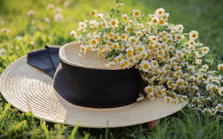 Бүгін еліміздің бір мегаполисінде күн 37 градусқа дейін ысиды