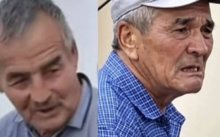 100 жылқы дауы: Мал дәрігері маңызды мәлімдеме жасады (ВИДЕО)