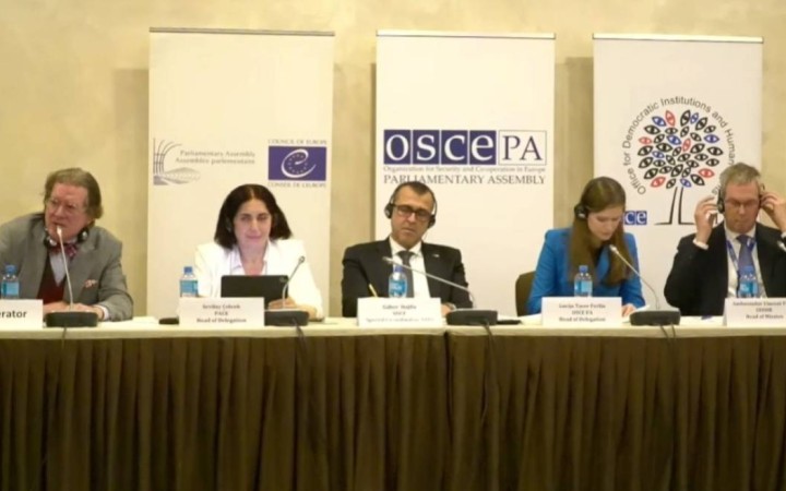 ДИАҚБ: Қазақстандағы партиялар үгіт-насихат жұмыстарын еркін жүргізіп, сайлаушыларға өз үндеуін жолдай алды
