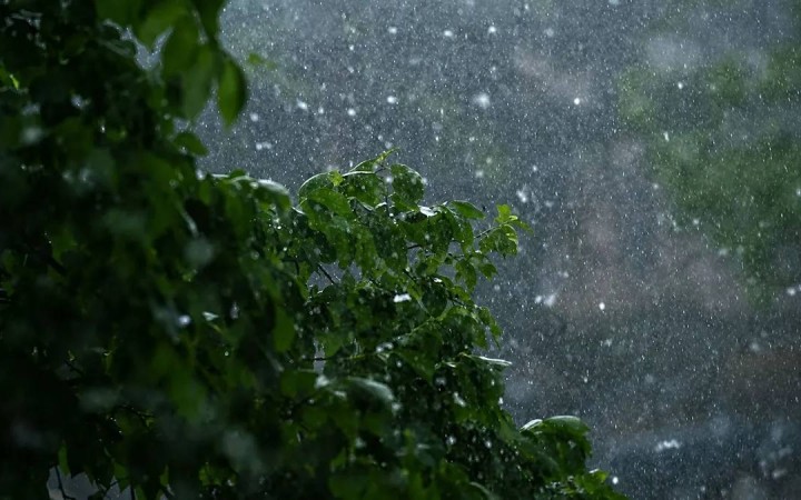 27 тамызда Қазақстанның бірқатар өңірінде жаңбыр жауып, күн күркірейді