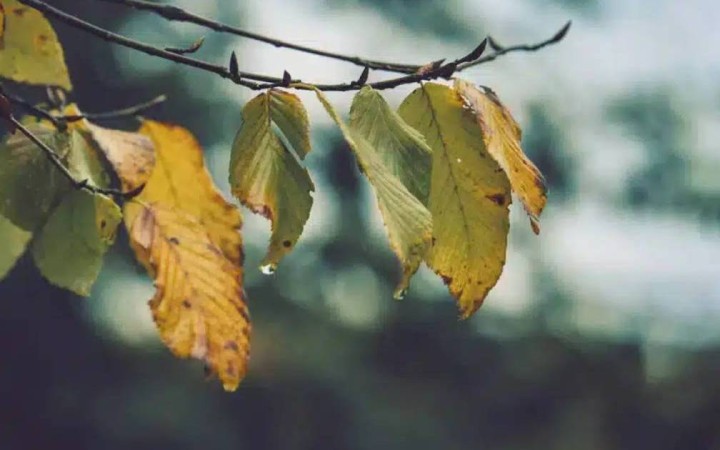 7 қыркүйекте Қазақстанның бірқатар өңірінде жаңбыр жауып, шаңды дауыл соғады