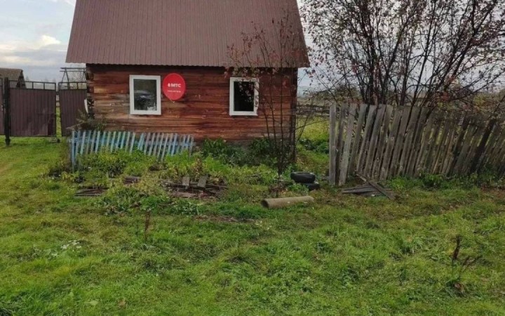 Ресейде аю үйге басып кіріп, 66 жастағы әжейді талап өлтірді