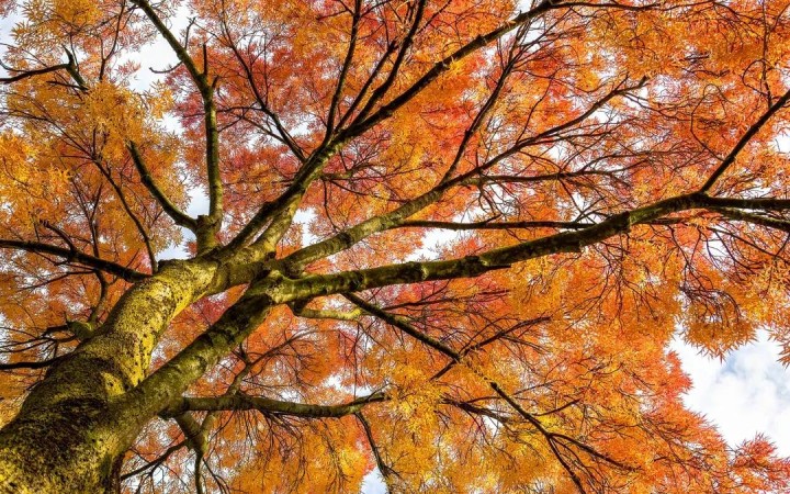 13 қазандағы ауа райы: Еліміздің оңтүстігі мен батысында күн жылы болады