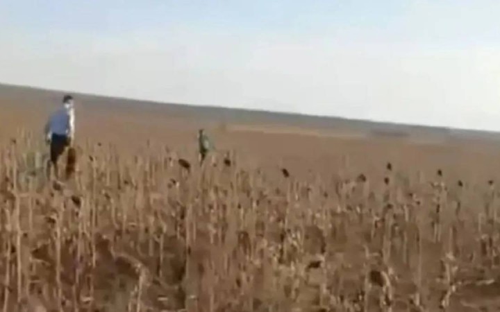 Абай облысында жоғалған 7 жастағы бала ауылдан төрт шақырым жерден табылды