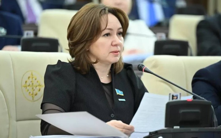 Жаңа Азаматтық кодексте адам құқықтары басты бағдар болуы тиіс – Снежанна Имашева