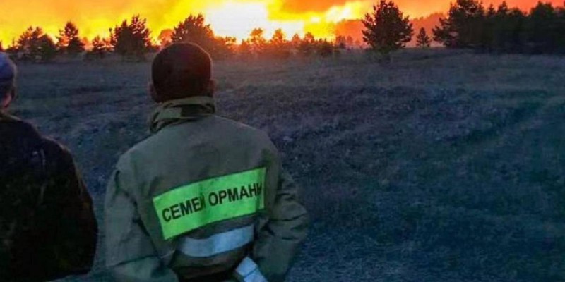 Өрт: Аяқ киім берілмеген орманшылар, өртке жетпей далада қалған 5 көлік.