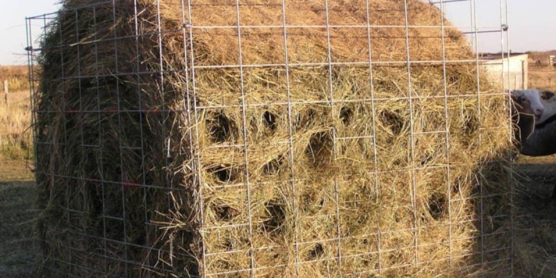 Министрлік «ҚТЖ» ұлттық компаниясынан көмек сұрады.