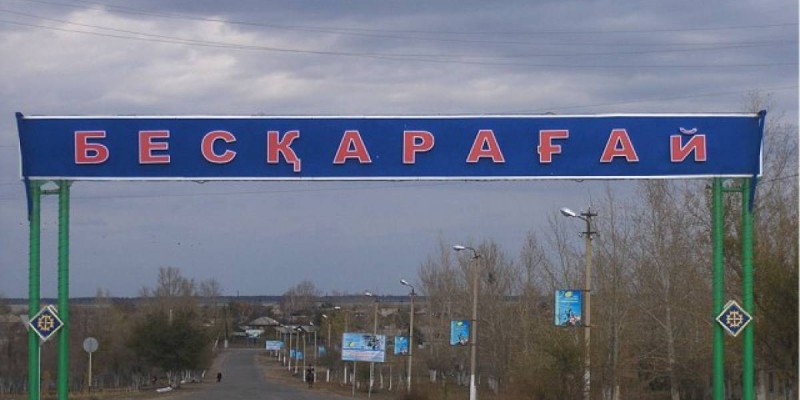 Қытай компаниясына жалға берілген жерге қытайлық агрономдар химиялық қоспа сепкен.