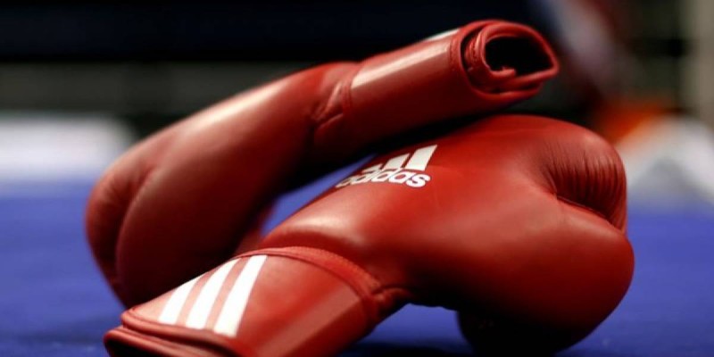 «Бокс державасы»: Қазақстандық 8 боксшы алтын медаль алды.