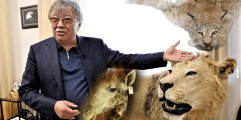 Танымал заңгер Аймағамбетовтен академия президентінің әрекетін назарға алуды сұрады.