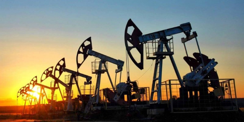 Мұнай-газ компанияларында істейтін шенеуніктердің балалары.