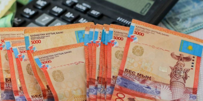 Елімізде зейнетақы қорындағы жинақ қандай ем түрлеріне пайдаланылады.