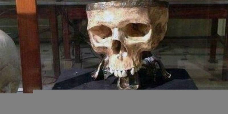 Кенесарының бас сүйегі бір айда Қазақстанға қайтарыла ма?.