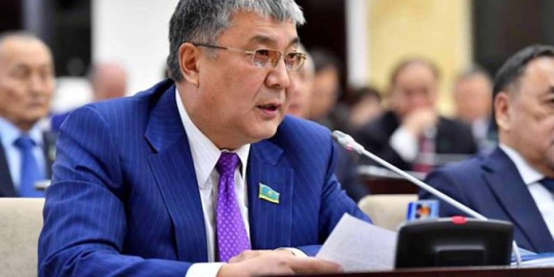 Сенатор: көп балалы отбасыларға берілетін жәрдемақыны өсіріп, үй мәселесін шешу керек.