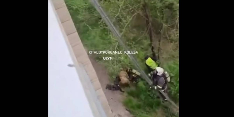 Техника қайда? Талдықорғанда өрт сөндіруші үшінші қабаттан құлап кетті.