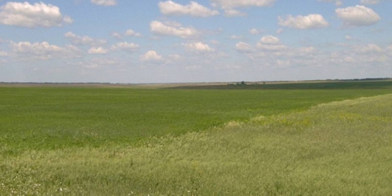 Тоқаев әкімдердің жайылымдық жерді иемденіп алған байлардың алдында қауқарсыз екенін айтты.