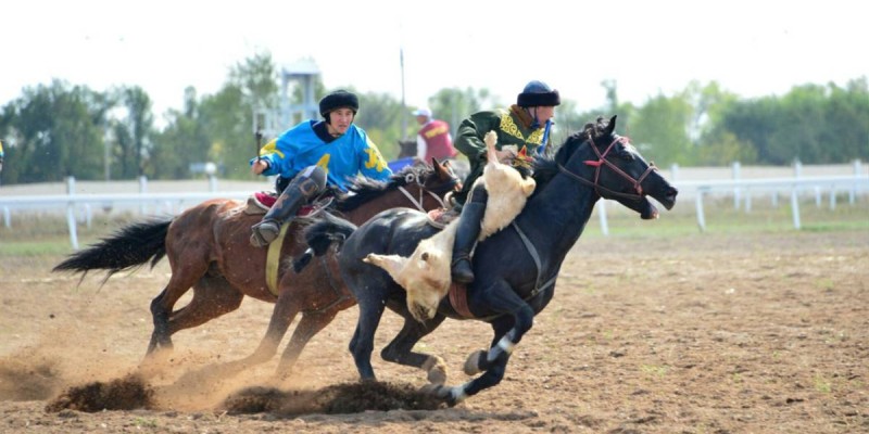 Ұлттық спорт түрлерін дамытуға 6 млрд теңге бөлінеді.