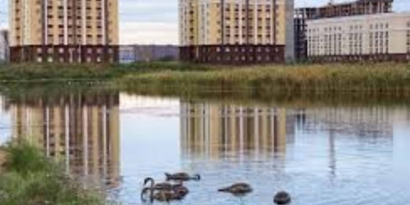 «Иіс, маса болмайды»: Кіші Талдыкөлдегі тіршілік жандана түседі.