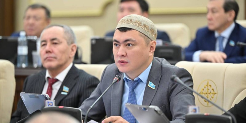 «Декретке миллионмен»: Депутат өзін айыптағандарға жауап қатты.