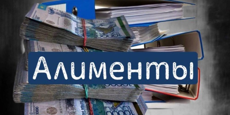 Сот орындаушы баланың алименттерін жымқырған.