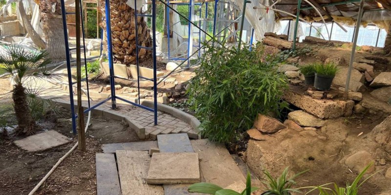 Алматының Ботаникалық бағында жүзден астам өсімдік өліп қалған.