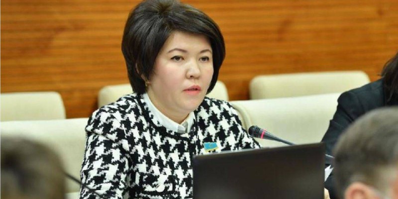 Әлеуметтік желіге бақылауды күшейту керек – депутат.
