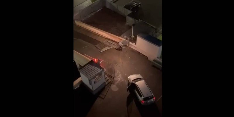 Күзетшіні ұрып өлтірген азамат терезеден секіріп өлмек болған.