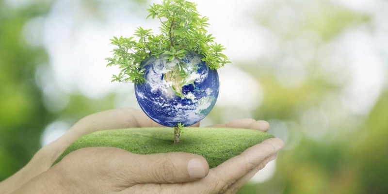 «Eco Almaty» директоры жауапқа тартылды.