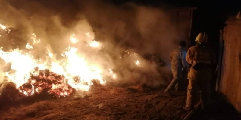 Атырауда үш жасөспірім өртенген шөппен бірге жанып кетті.
