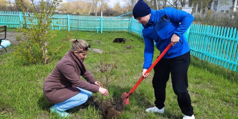 Ұзынкөл ауданында 1400-ден астам жас көшет отырғызылды.
