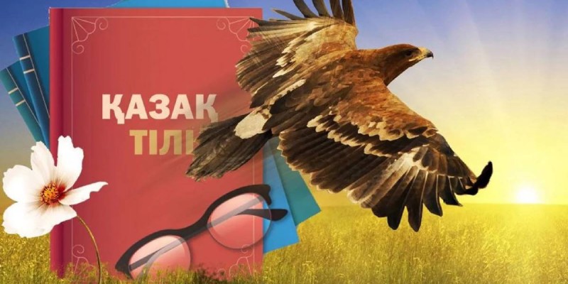 Қазақ тілі мәселесінде құр сөзден түк шықпайды, нақты іс керек – Тоқаев.
