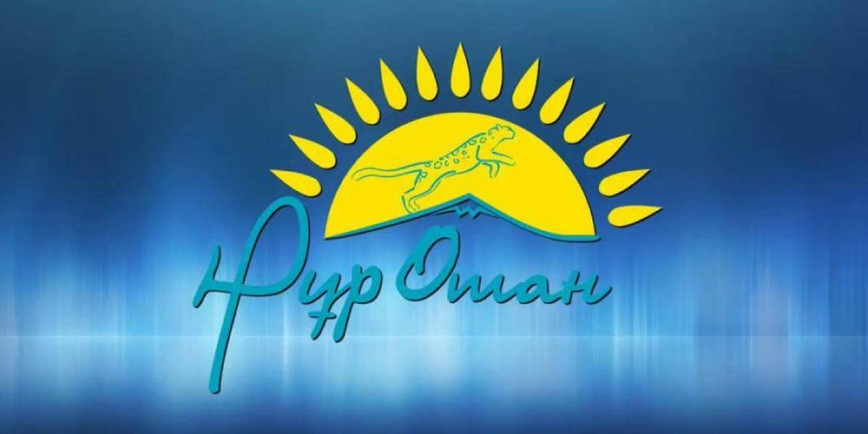 «Nur Otan» партиясының 627 кандидаты ауыл әкімі болып сайланды.