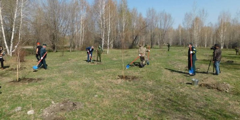 Қай өңірлерде орман аз отырғызылғаны белгілі болды.
