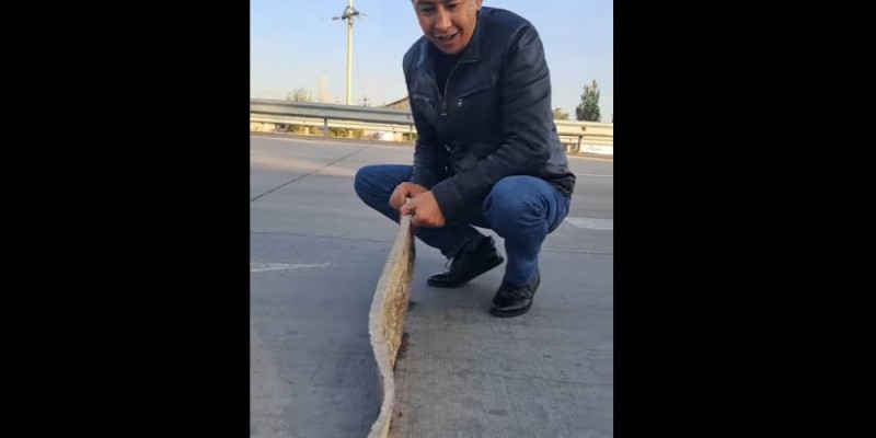 ҚазАвтоЖол жолды пенопластпен сала бастаған ба?.