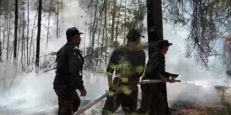 Абай облысындағы өртті сөндіру бойынша ақпарат.