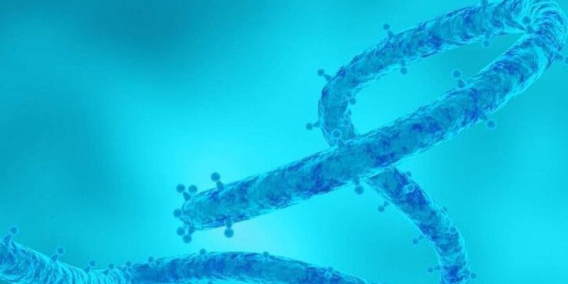 Жаңа вирус? ДДҰ Марбург вирусының өршігені туралы хабарлады.