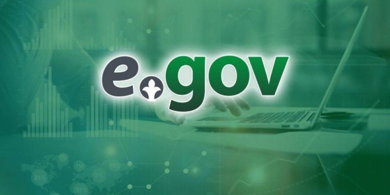 42500 теңге: egov та жеңілдетілген арнайы бөлім ашылды.