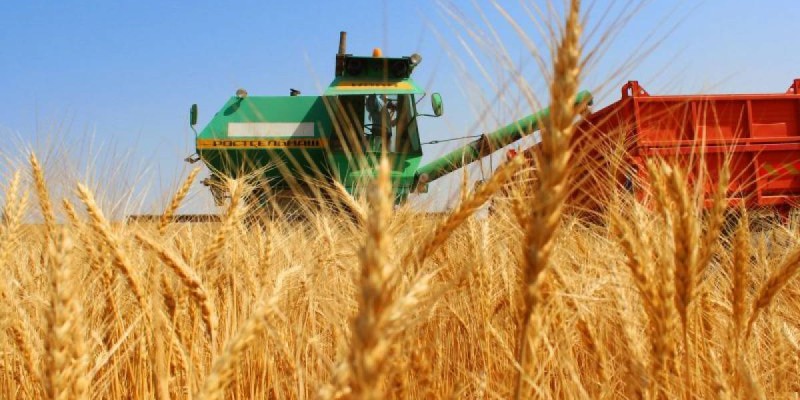 Банктер ауылшаруашылығы саласын несиелендіруді 48,3% — ға қысқартты.